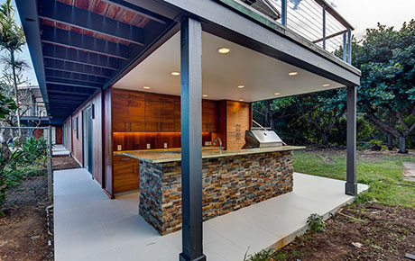 Plywood Hawaii David Law 4